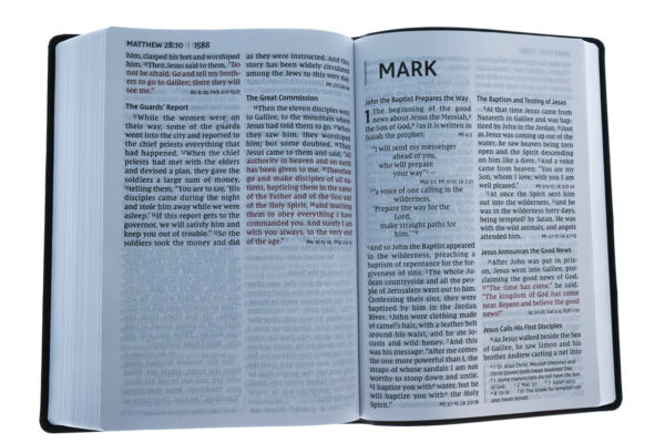 NIV, Super Giant Print Reference Bible, Leathersoft, Brown - Image 3