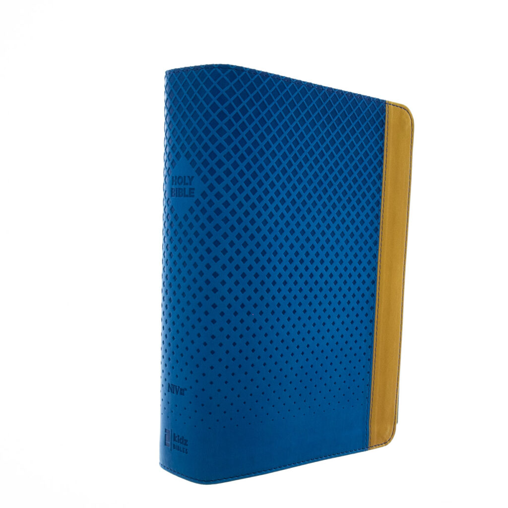Image of NIV Giant-Print Compact Bible for Boys, Leather-look, Blue/Yellow