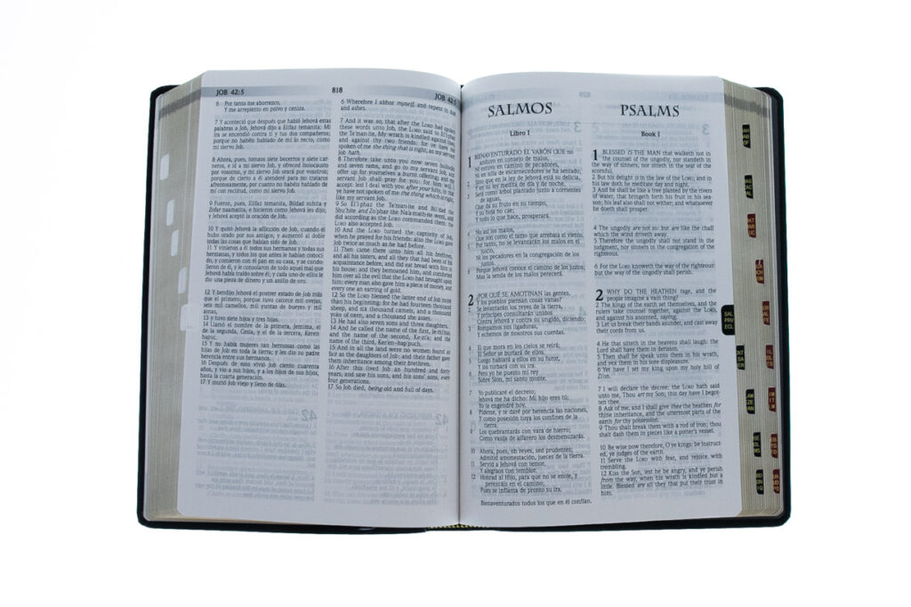 Image of Spanish RVR 1960/KJV Bilingual-Black Imitation Leather Indexed