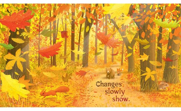 Autumn Leaves Fall (Little Nature Explorers) 102 0856 1