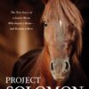 Project Solomon - Lonely Horse