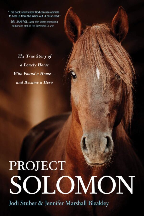 Project Solomon - Lonely Horse 118 1210 0