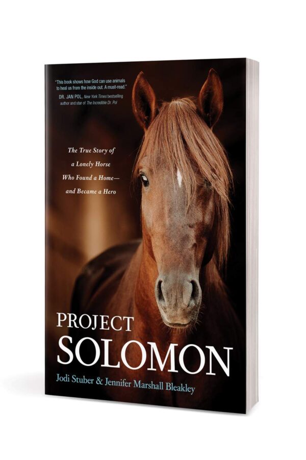 Project Solomon - Lonely Horse 118 1210 1