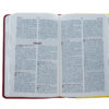 Bible for Brave Boys: New Life Version - Image 2