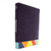 RVR 1960 Biblia de Estudio Arcoiris, morado/multicolor