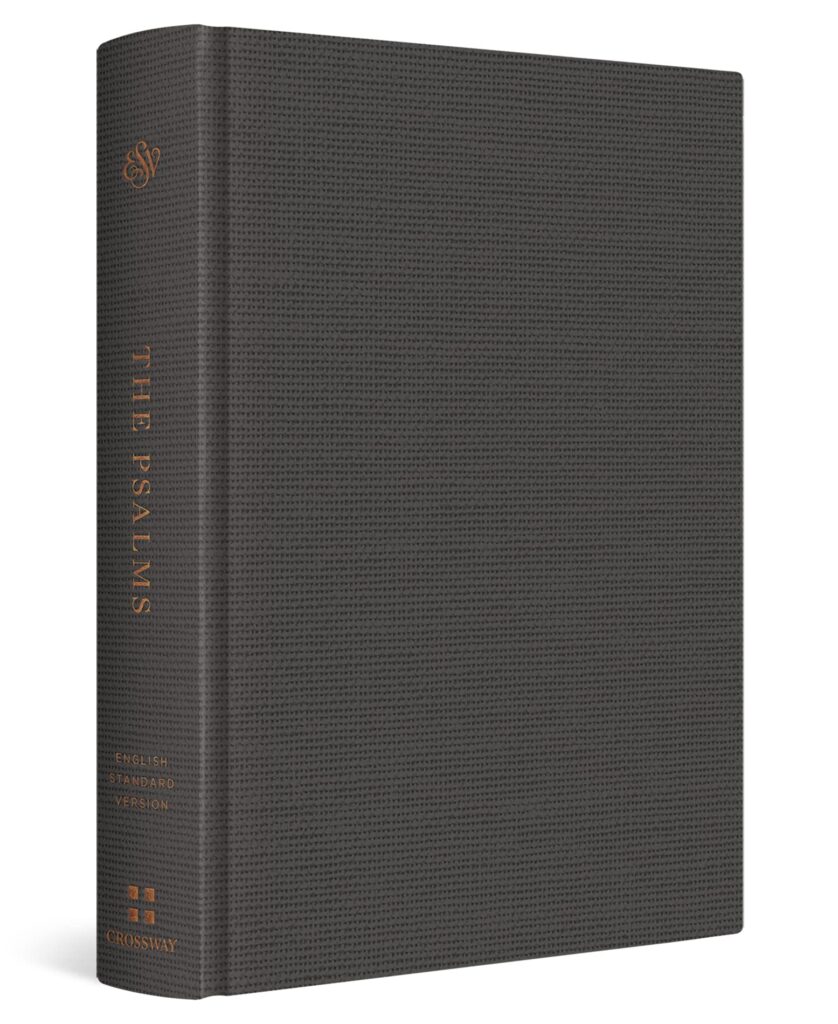 Image of ESV TruTone over Board, Deep Brown Bible