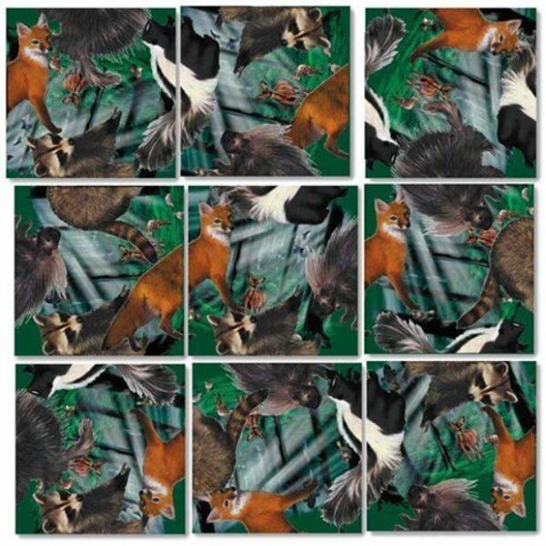Scramble Squares Tulips