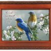 Music Box - Watchful Birds