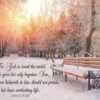 Boxed Christmas Cards - Winter Landscapes - Image 3