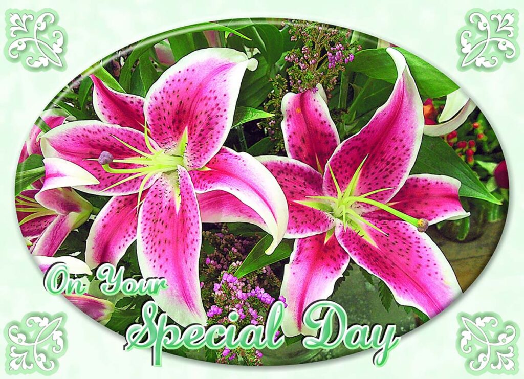 Image of Cards Wedding Wishes
