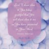 Cards Praying For You Stormie Omartian - Everyday Boxed - Image 4
