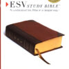 ESV Study Bible-Brown/Cordovan Portfolio Design TruTone
