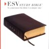 ESV Study Bible-Black Bonded Leather