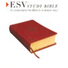 ESV Study Bible/Personal Size-Saddle Ornament Design TruTone - Image 2