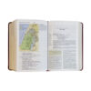 ESV Study Bible/Personal Size-Saddle Ornament Design TruTone - Image 4