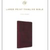 ESV Large Print Thinline Bible (Trutone, Mahogany) - Image 2