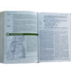 NLT Life Application Study Bible, Third Edition, Large Print LeatherLike, - Image 8