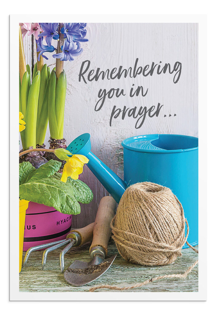 Image of Cards Praying for You Garden