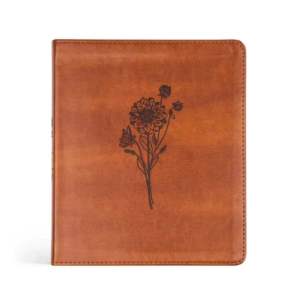 Image of ESV Journaling Bible – Sierra Theme