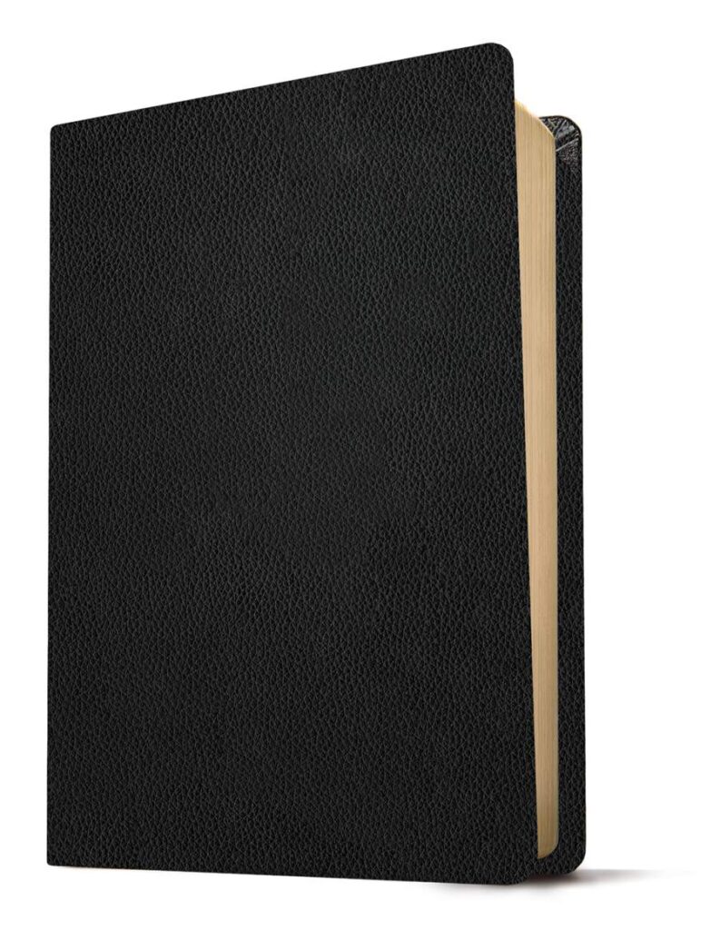 Image of KJV Personal Size Giant Print Bible, Filament Enabled Edition