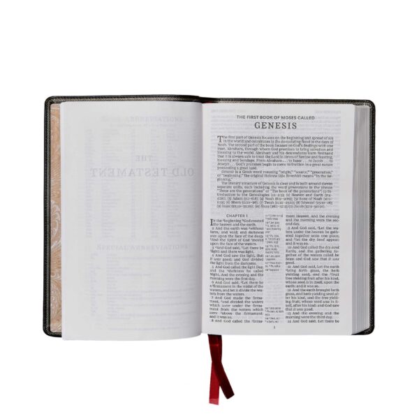 KJV Giant Comfort Print Holy Bible Brown Leathersoft 206 0967 1