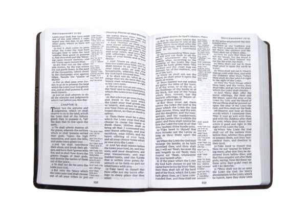 KJV Giant Comfort Print Holy Bible Brown Leathersoft 206 0967 2