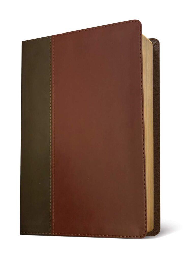 Image of NLT Life Application Study Bible, Third Edition, Personal Size, Brown