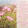 Boxed Sympathy Cards - Eternal Love discontinued - Image 2