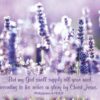 Boxed Sympathy Cards - Eternal Love discontinued - Image 6