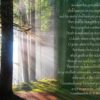 Boxed Sympathy Cards - Eternal Love discontinued - Image 8