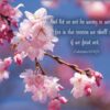 Boxed Encouragement Cards - Springtime - Image 2