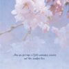 Boxed Encouragement Cards - Springtime - Image 3