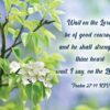 Boxed Encouragement Cards - Springtime - Image 6
