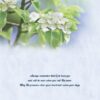 Boxed Encouragement Cards - Springtime - Image 7