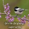 Boxed Encouragement Cards - Springtime - Image 8