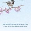 Boxed Encouragement Cards - Springtime - Image 9