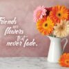 Boxed Friendship Cards - Bouquets - Image 6