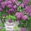 Boxed Thank You Cards - Flowers - Image 2