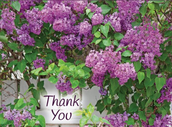 Boxed Thank You Cards - Flowers - Image 2