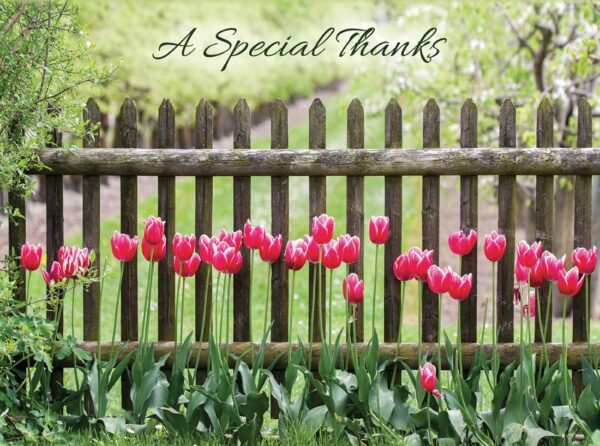 Boxed Thank You Cards - Flowers 540 0153 3