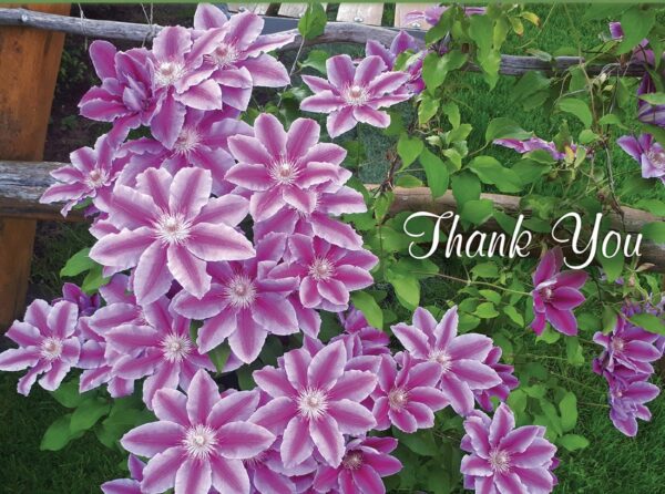 Boxed Thank You Cards - Flowers 540 0153 5