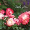 Boxed Thank You Cards - Flowers - Image 8