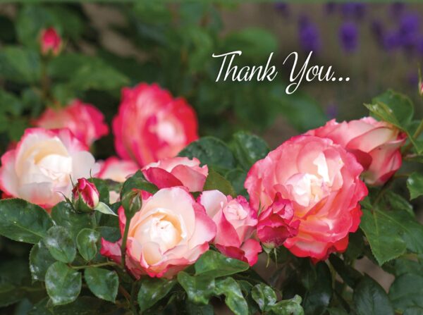 Boxed Thank You Cards - Flowers - Image 8