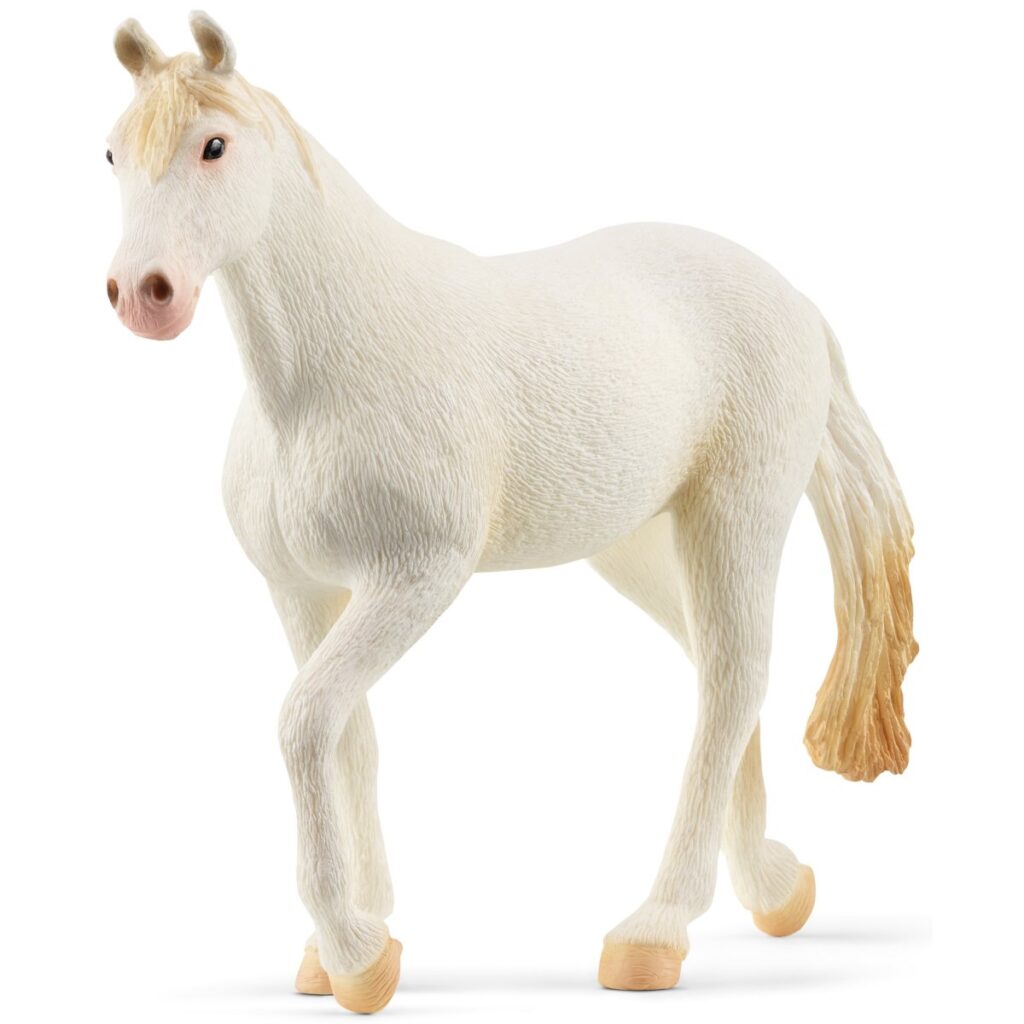 Image of Camarillo Mare