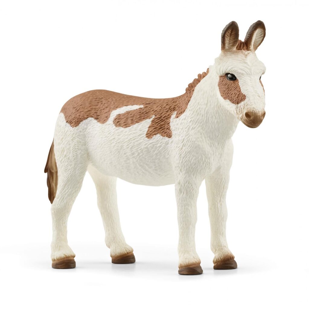Image of American Spotted Donkey