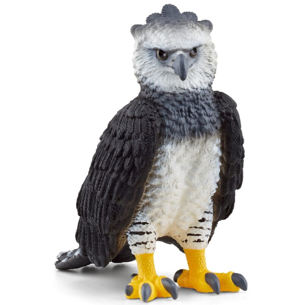 Image of Harpy Eagle
