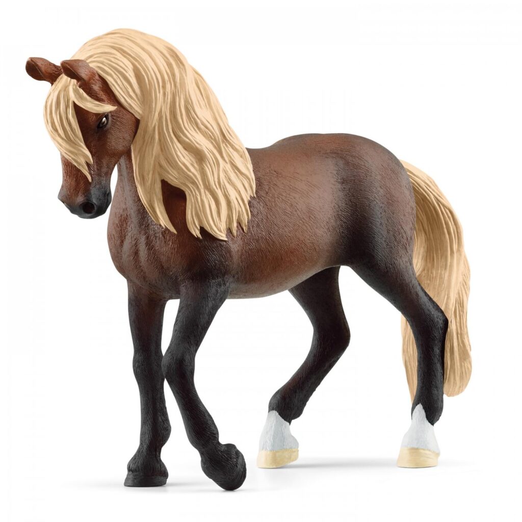 Image of Paso Peruano Stallion