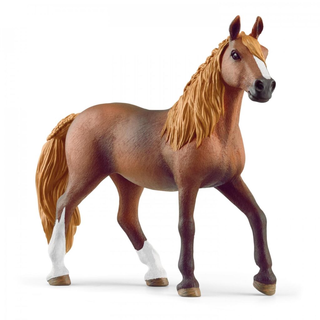 Image of Paso Peruano Mare