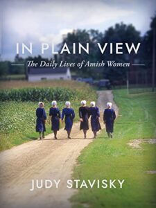 Image of In Plain View: The Daily Lives of Amish Women