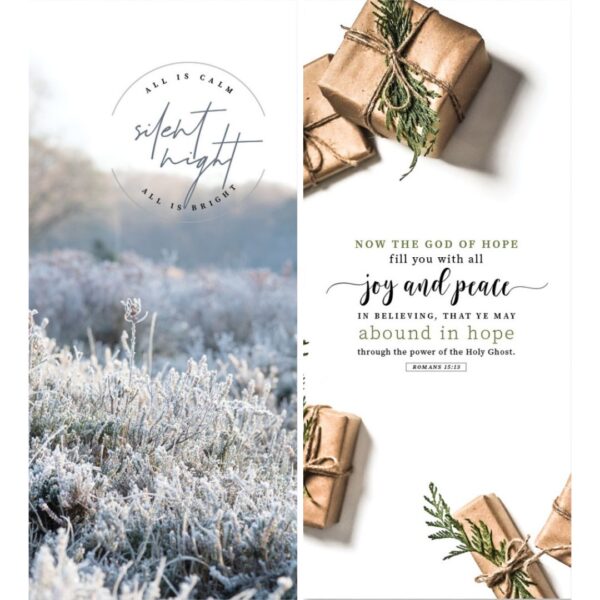 ICare- Christmas Card Package Joyous - discontinued
